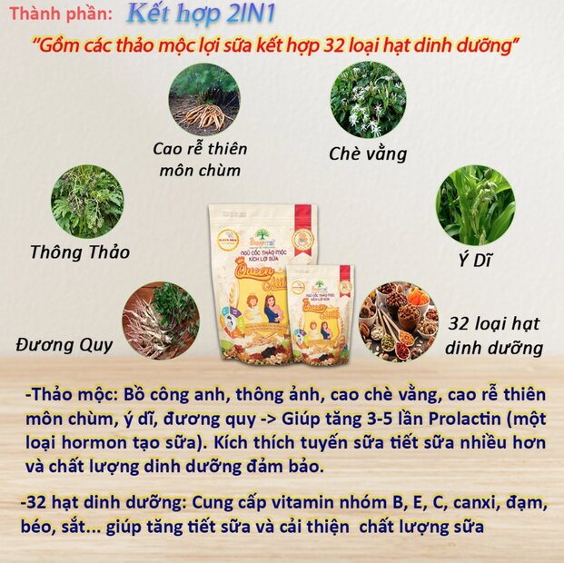 thành phần ngũ cốc lợi sữa Queen Milk